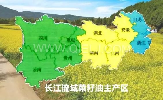 濃香菜籽油成套設(shè)備,企鵝糧油機械品質(zhì)出眾(圖1) 濃香菜籽油成套設(shè)備,企鵝糧油機械品質(zhì)出眾(圖1)